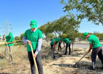 «Жасыл ел»: облыста 1750 жас жұмыспен қамтылады
