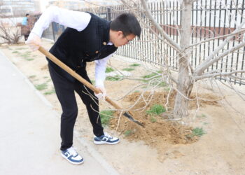 Жастар абаттандыру жұмыстарын жүргізді