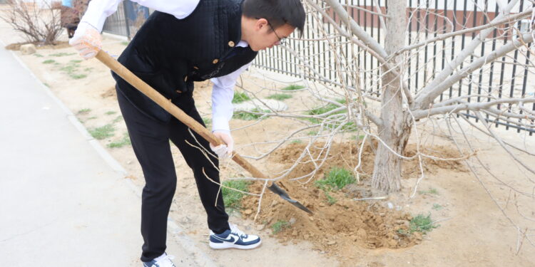 Жастар абаттандыру жұмыстарын жүргізді
