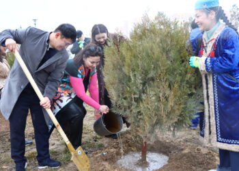Маңғыстау жастары Ақтауда тал көшеттерін отырғызды