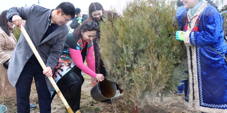 Маңғыстау жастары Ақтауда тал көшеттерін отырғызды