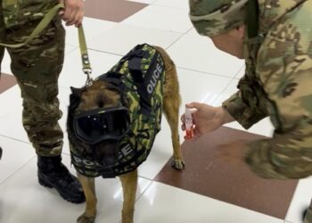 «Адал азамат» кағидаты аясында жастар Кинология кызметімен танысты