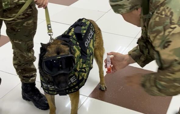 «Адал азамат» кағидаты аясында жастар Кинология кызметімен танысты